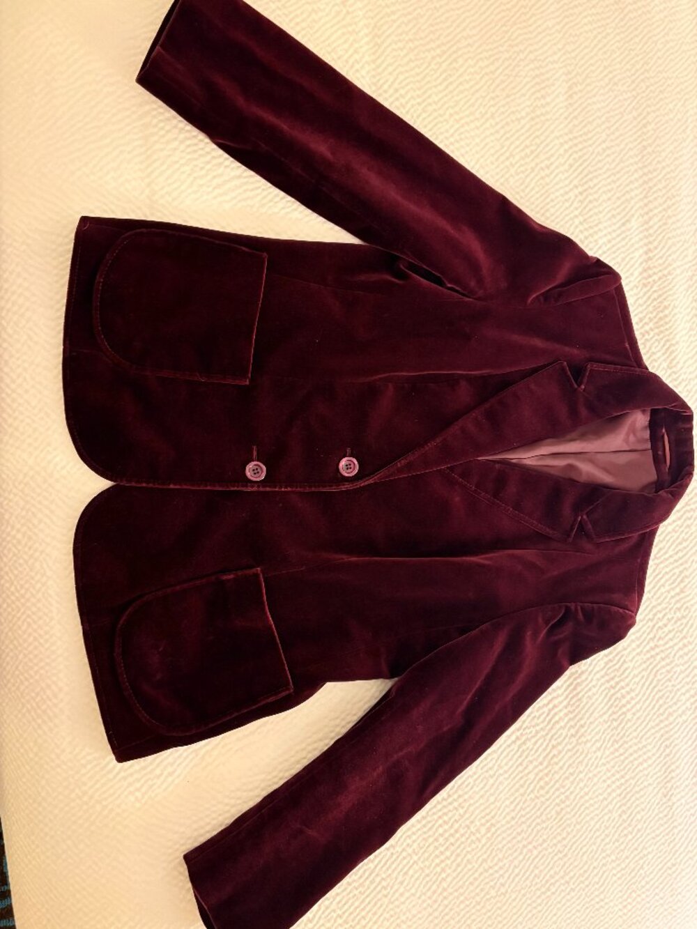 Vintage Velvet Blazer
